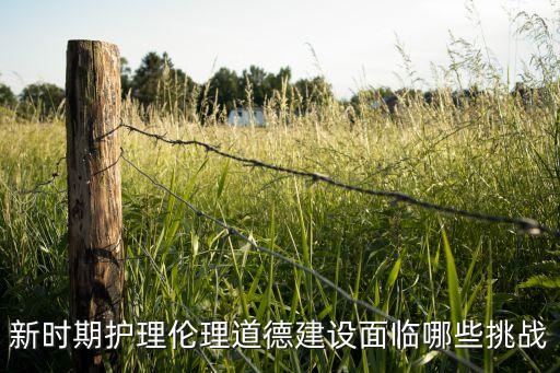 新時代倫理問題，當今社會面對主要信息倫理問題有哪些怎么解決
