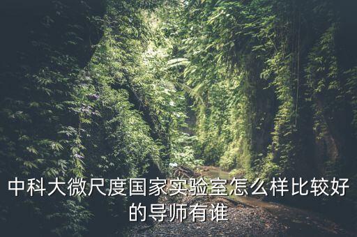 中科大微尺度國家實驗室怎么樣比較好的導(dǎo)師有誰