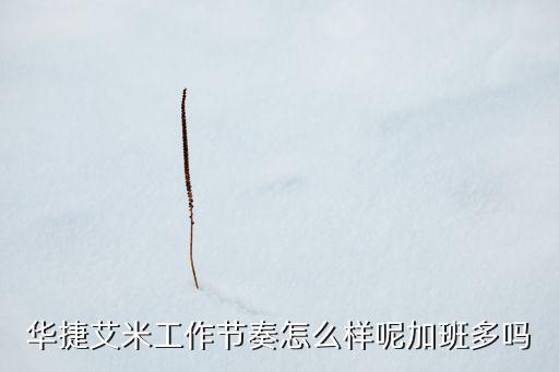 華捷艾米工作節(jié)奏怎么樣呢加班多嗎