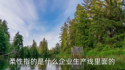 柔性加工生產(chǎn)線，柔性生產(chǎn)線有哪些零件構(gòu)成