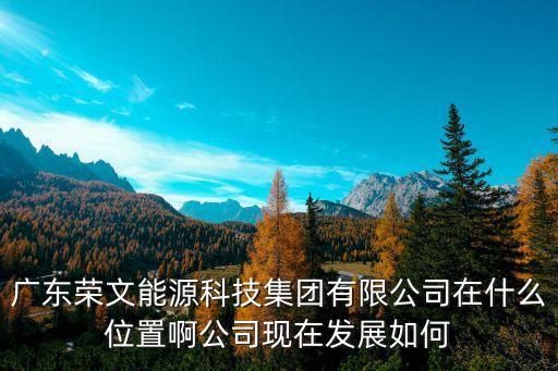 廣東榮文能源科技集團有限公司在什么位置啊公司現(xiàn)在發(fā)展如何