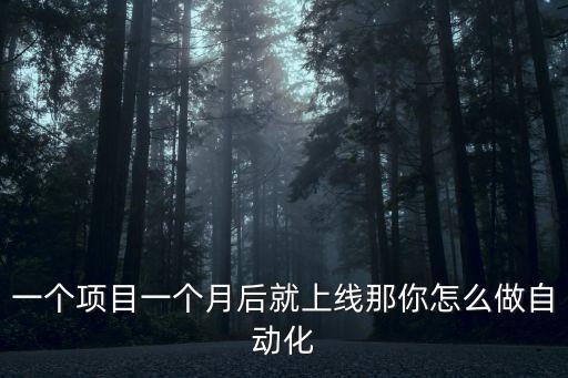 你們自動化是怎么做的，一個項目一個月后就上線那你怎么做自動化