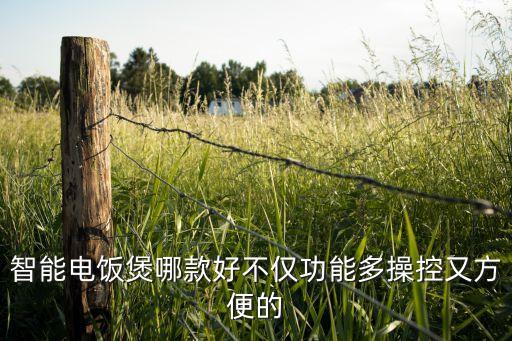 智能煮飯鍋，智能電飯煲哪款好不僅功能多操控又方便的