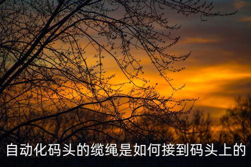 自動(dòng)化碼頭的纜繩是如何接到碼頭上的