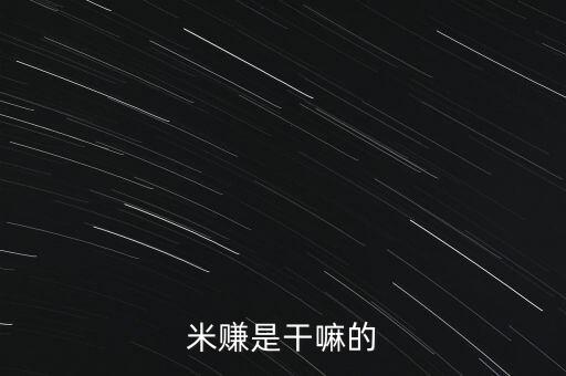 米賺是干嘛的