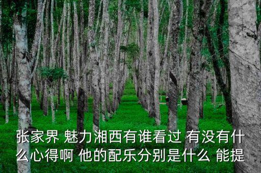杭州狂野科技有限公司，張家界 魅力湘西有誰看過 有沒有什么心得啊 他的配樂分別是什么 能提
