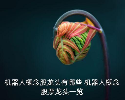 機(jī)器人概念股龍頭有哪些 機(jī)器人概念股票龍頭一覽