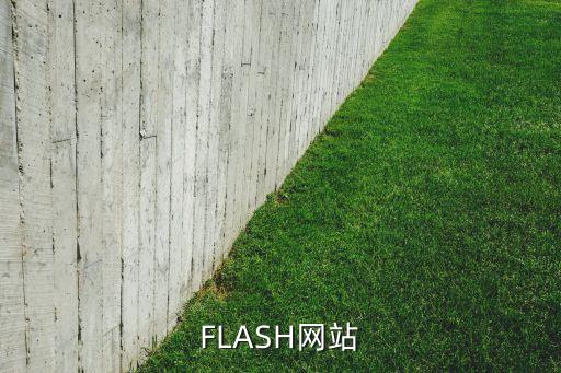 FLASH網(wǎng)站