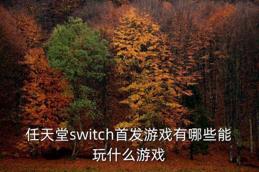 任天堂switch首發(fā)游戲有哪些能玩什么游戲