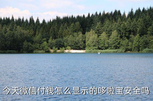 哆來(lái)賺可靠嗎，今天微信付錢怎么顯示的哆啦寶安全嗎