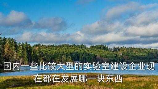 國(guó)內(nèi)十大人工智能實(shí)驗(yàn)室企業(yè)排名，國(guó)內(nèi)都哪些比較牛的人工智能公司
