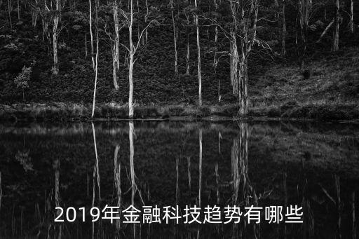 金融科技行業(yè)分析報告，純粹的金融科技行業(yè)分析通俗易懂最好