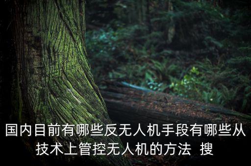 國內(nèi)目前有哪些反無人機手段有哪些從技術(shù)上管控無人機的方法  搜