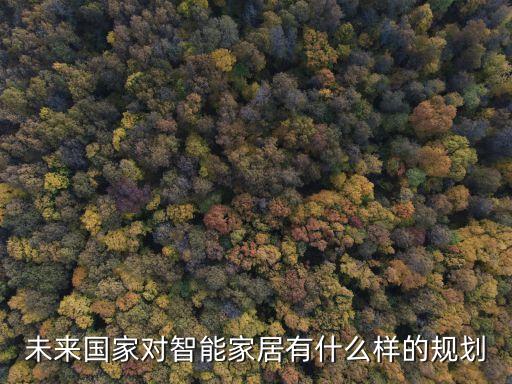 未來(lái)國(guó)家對(duì)智能家居有什么樣的規(guī)劃