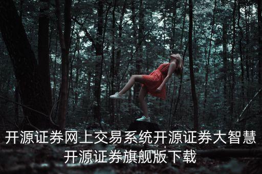 開源證券網(wǎng)上交易系統(tǒng)開源證券大智慧開源證券旗艦版下載