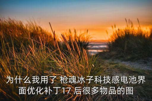 為什么我用了 槍魂冰子科技感電池界面優(yōu)化補(bǔ)丁17 后很多物品的圖