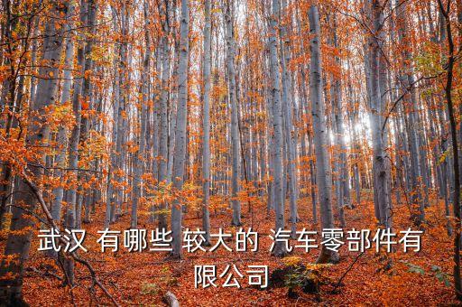 中國(guó)十大汽車零部件公司，廣東省汽車零部件廠都有哪些