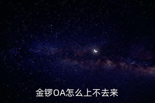 金鑼OA怎么上不去來