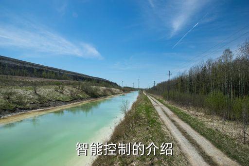 什么叫智能控制技術(shù)，智能控制的介紹