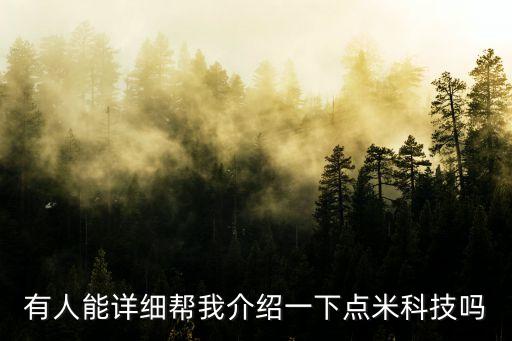 有人能詳細幫我介紹一下點米科技嗎