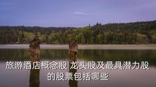 旅游酒店概念股 龍頭股及最具潛力股的股票包括哪些