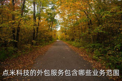 點(diǎn)米科技的外包服務(wù)包含哪些業(yè)務(wù)范圍