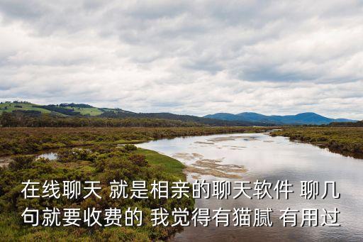 在線聊天 就是相親的聊天軟件 聊幾句就要收費的 我覺得有貓膩 有用過
