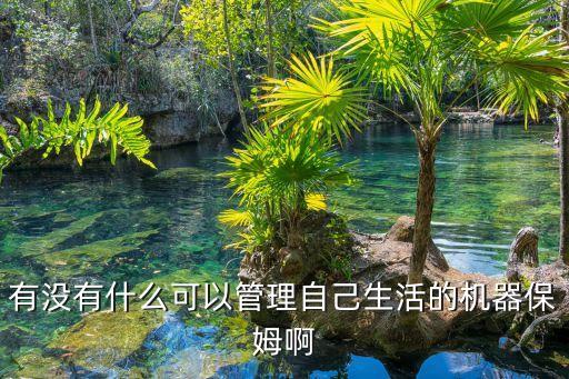 炒飯機(jī)器人價(jià)格，炒幣機(jī)器人是炒比特幣嗎