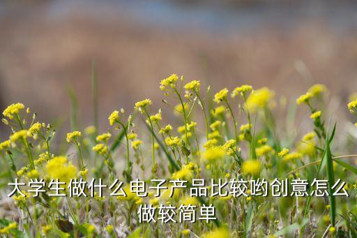 智能產(chǎn)品創(chuàng)新設計 大學生，大學生做什么電子產(chǎn)品比較喲創(chuàng)意怎么做較簡單