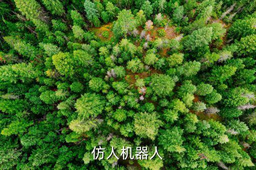 仿人機(jī)器人