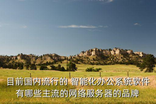 目前國內(nèi)流行的 智能化辦公系統(tǒng)軟件有哪些主流的網(wǎng)絡(luò)服務(wù)器的品牌