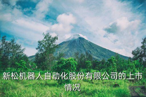 新松機(jī)器人自動(dòng)化股份有限公司的上市情況