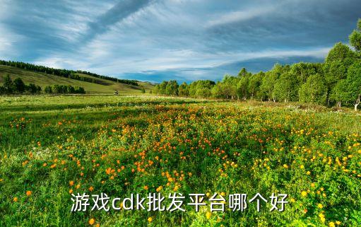 游戲cdk批發(fā)平臺哪個好