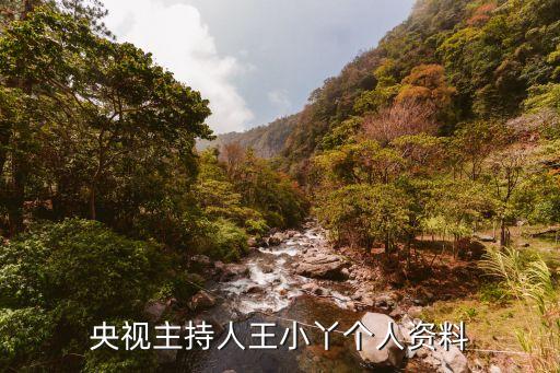 央視主持人王小丫個人資料