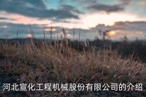 機械公司簡介，河北宣化工程機械股份有限公司的介紹