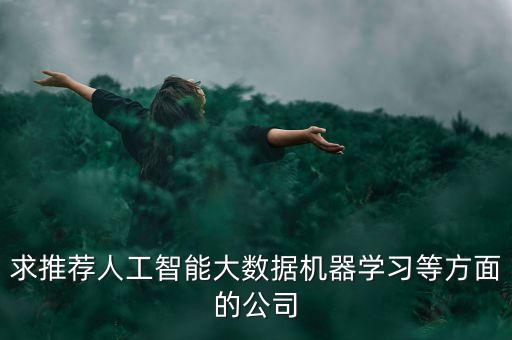求推薦人工智能大數(shù)據(jù)機(jī)器學(xué)習(xí)等方面的公司