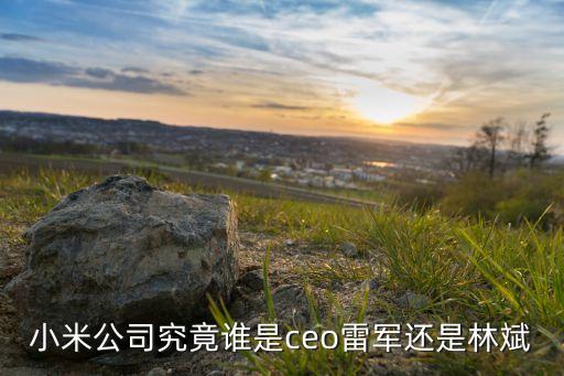 小米公司究竟誰是ceo雷軍還是林斌