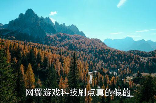 網(wǎng)翼游戲科技刷點(diǎn)真的假的