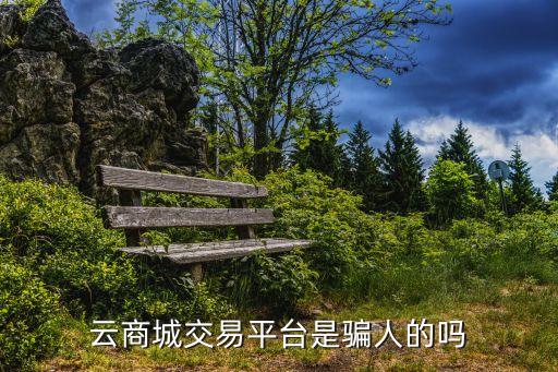 云商城自助下單平臺QQ，云商城交易平臺是騙人的嗎