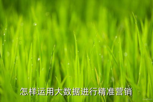 大數(shù)據(jù)精準營銷，大數(shù)據(jù)精準營銷是什么