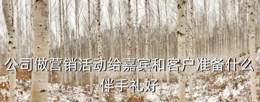 公司做營(yíng)銷活動(dòng)給嘉賓和客戶準(zhǔn)備什么伴手禮好