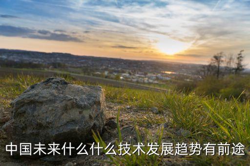 未來十大技術(shù)展望圖，未來的10大科技水平Internet位居第一什么位居第二