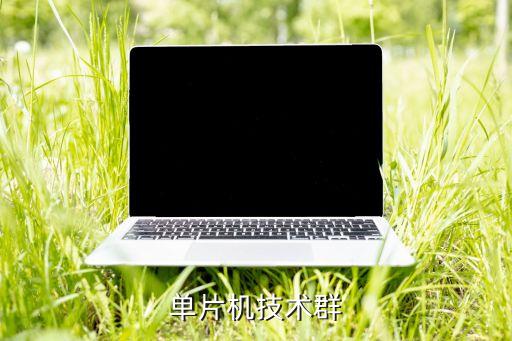 從科技論壇開(kāi)始震驚全球免費(fèi)閱讀，單片機(jī)技術(shù)群