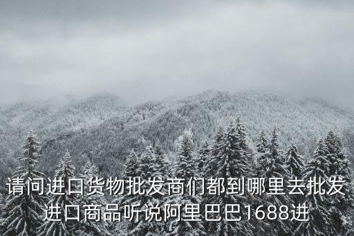請(qǐng)問(wèn)進(jìn)口貨物批發(fā)商們都到哪里去批發(fā)進(jìn)口商品聽(tīng)說(shuō)阿里巴巴1688進(jìn)
