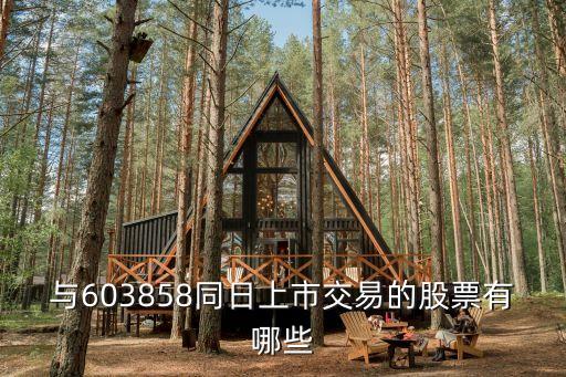 與603858同日上市交易的股票有哪些