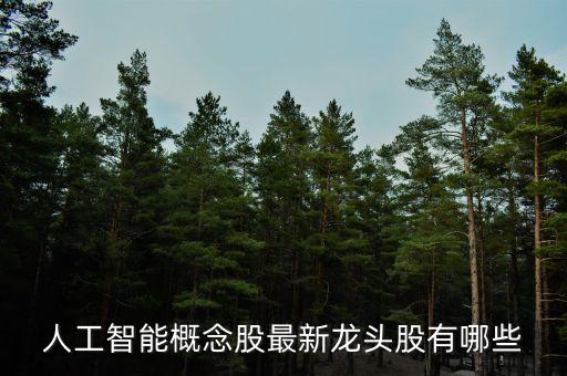 人工智能a股的龍頭企業(yè)是哪家，人工智能芯片誰(shuí)是龍頭 智能芯片上市企業(yè)有哪些