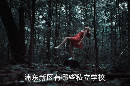 浦東民辦初中一覽表，浦東新區(qū)有哪些中學(xué)高中