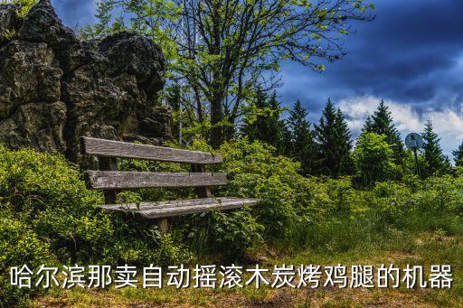 哈爾濱那賣自動(dòng)搖滾木炭烤雞腿的機(jī)器
