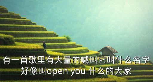 有一首歌里有大量的喊叫它叫什么名字好像叫open you 什么的大家