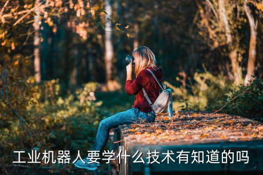 工業(yè)機(jī)器人要學(xué)什么技術(shù)有知道的嗎